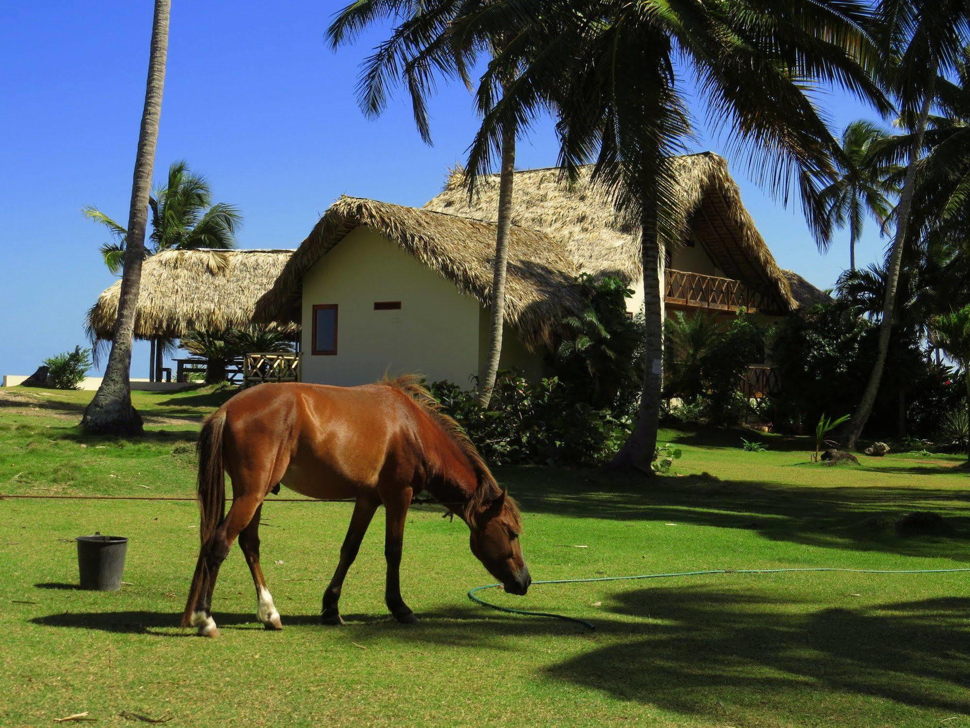 Villa Punta Coral El Frances Exterior photo